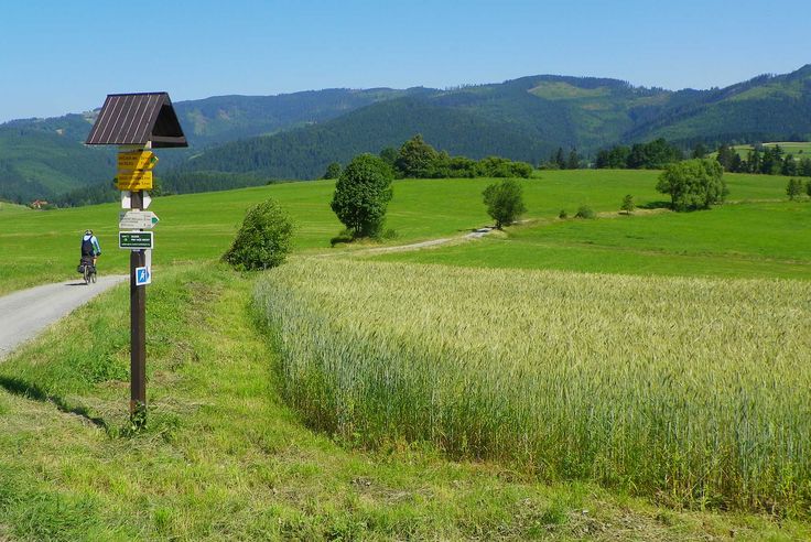 The knight's path on Steam The knight's path on Steam