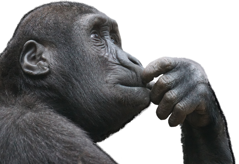 4 MILLION VIEWS 🔥 Every frame, every... - Think Music India | Facebook